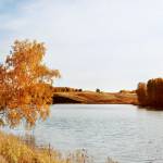 Пейзажи - Осенний пейзаж - Дерево свисает над водой